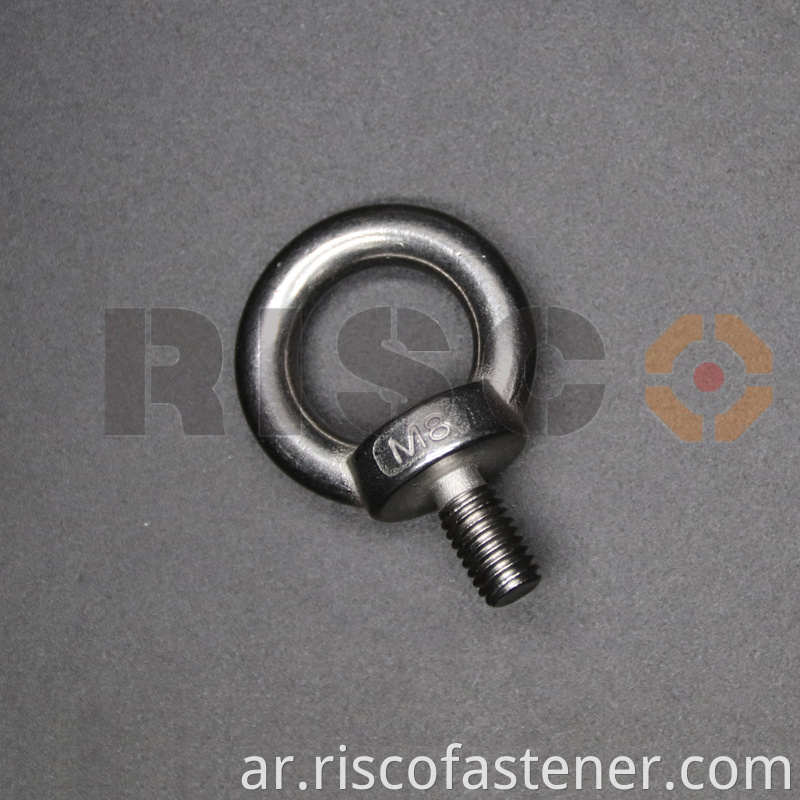 Stainless Steel Lifting Eye Bolt